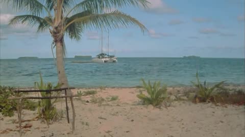 Sailing Schipperkes explore their first island in PNG - Ninigo atoll