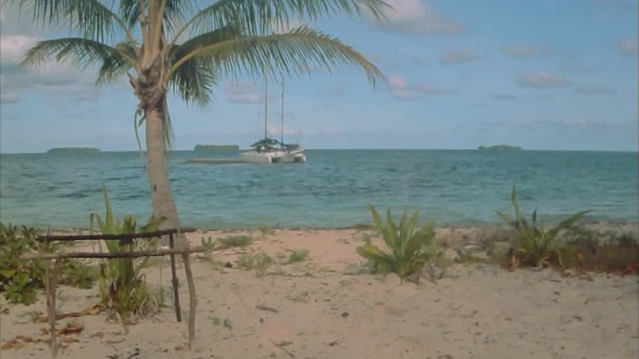 Sailing Schipperkes explore their first island in PNG - Ninigo atoll