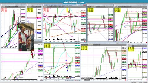 Cattle Screwworm up Mon sell off by Friday