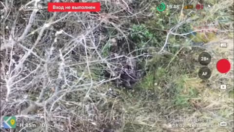 Ukraine war combat /related footage 11/12/2025