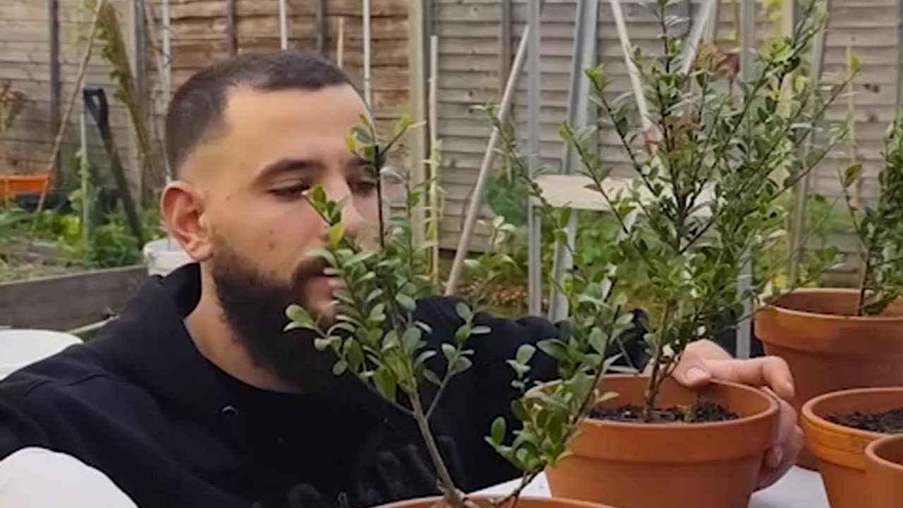 Gardening really is free therapy!