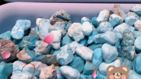 20251010-03 Turquoise on Fingertips: Interpret Understated Luxury