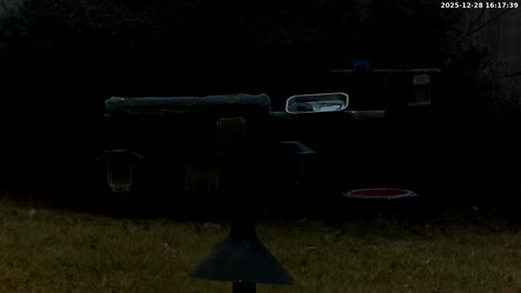 Bird Feeder in Western Maryland USA