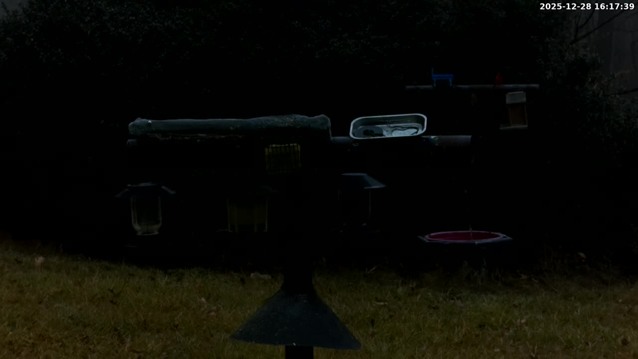 Bird Feeder in Western Maryland USA