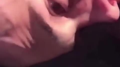 BRUTAL KO! MUST WATCHING!