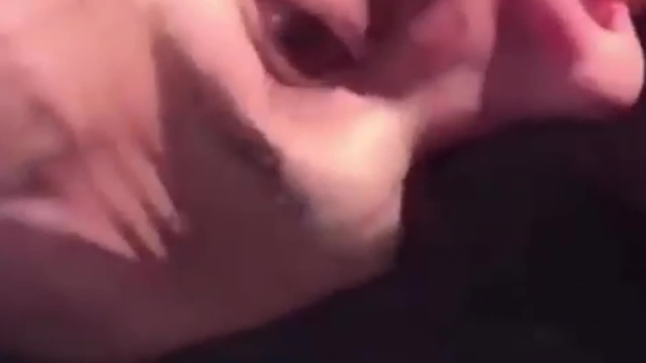 BRUTAL KO! MUST WATCHING!