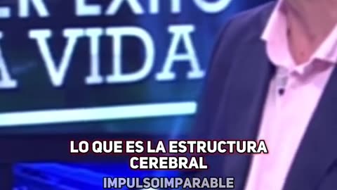 Si lo imaginas, puedes construirlo.