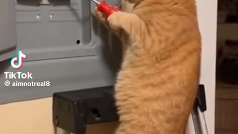 Sparky good name lol