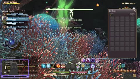 It is time for ffxiv with my husband