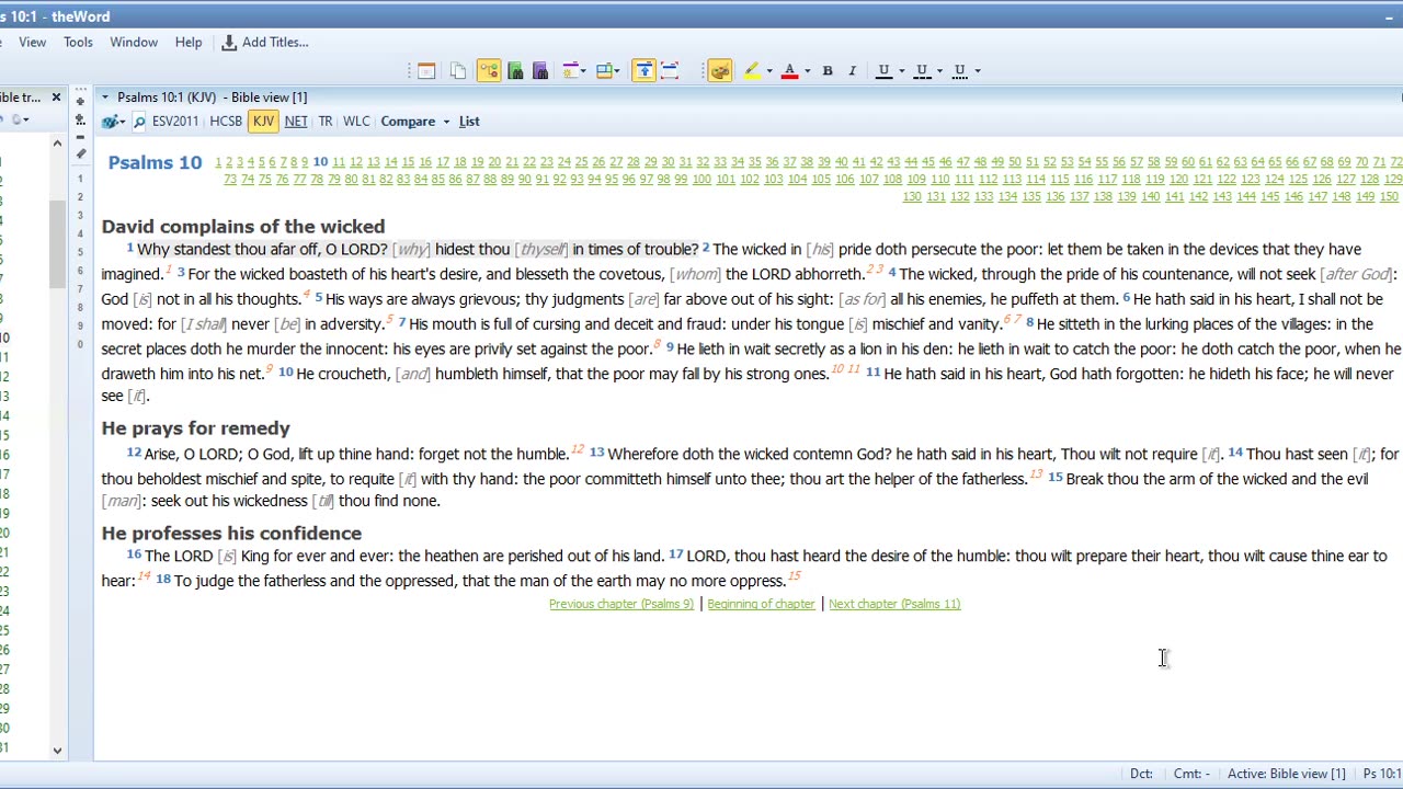 Bible Study Psalms 10, 11And 12