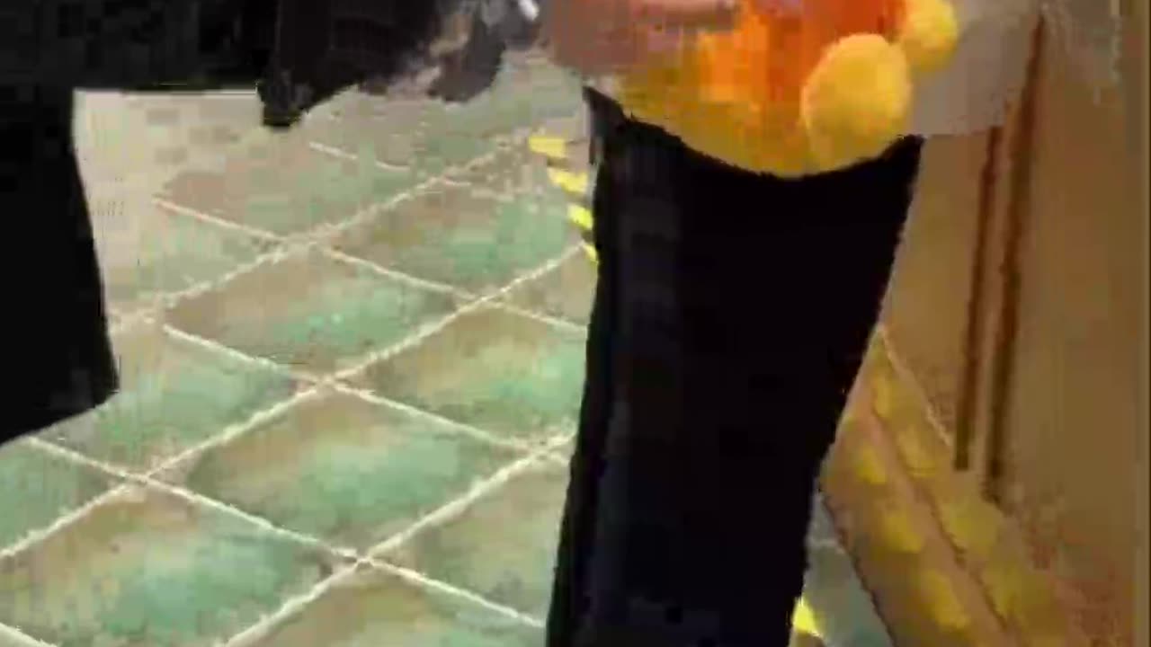 Mini Puppy Funny and Cute Pomeranian