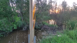 August 5, 2025 - Getting Back To It