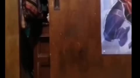 😱👻 You Won't Believe What They Caught on Camera! Scary Comp.10 | TheHauntingHour