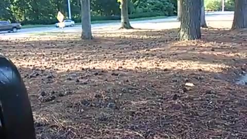 Joan Laws of Raleigh NC is in HELL.#truth #viral