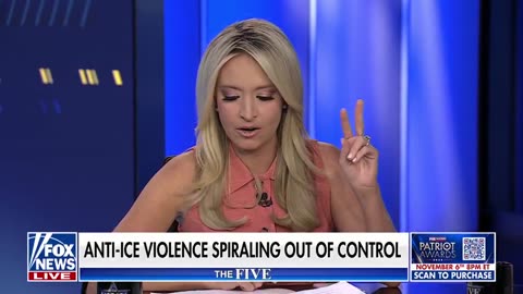 Kayleigh McEnany Makes Unambiguous Case for Federalizing National Guard