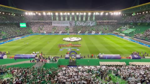 Sporting CP vs Olympique Marseille (UEFA Champions League)