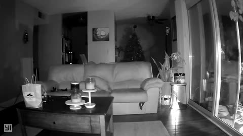 🌟📹 Weird Light Phenomenon Caught on Home Camera | TheHauntingHour
