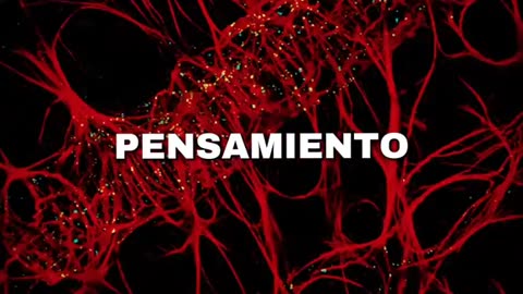 no es solo futboll