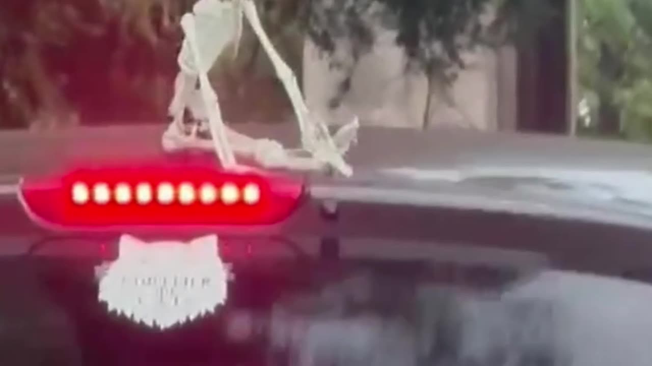 Car Skeleton Flaps Hands In The Breeze