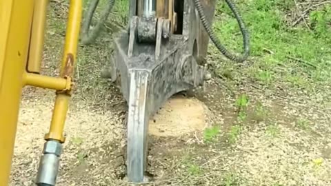 💡✨ A Clever Hack You'll Wish You Knew Sooner | LifeHacksDaily