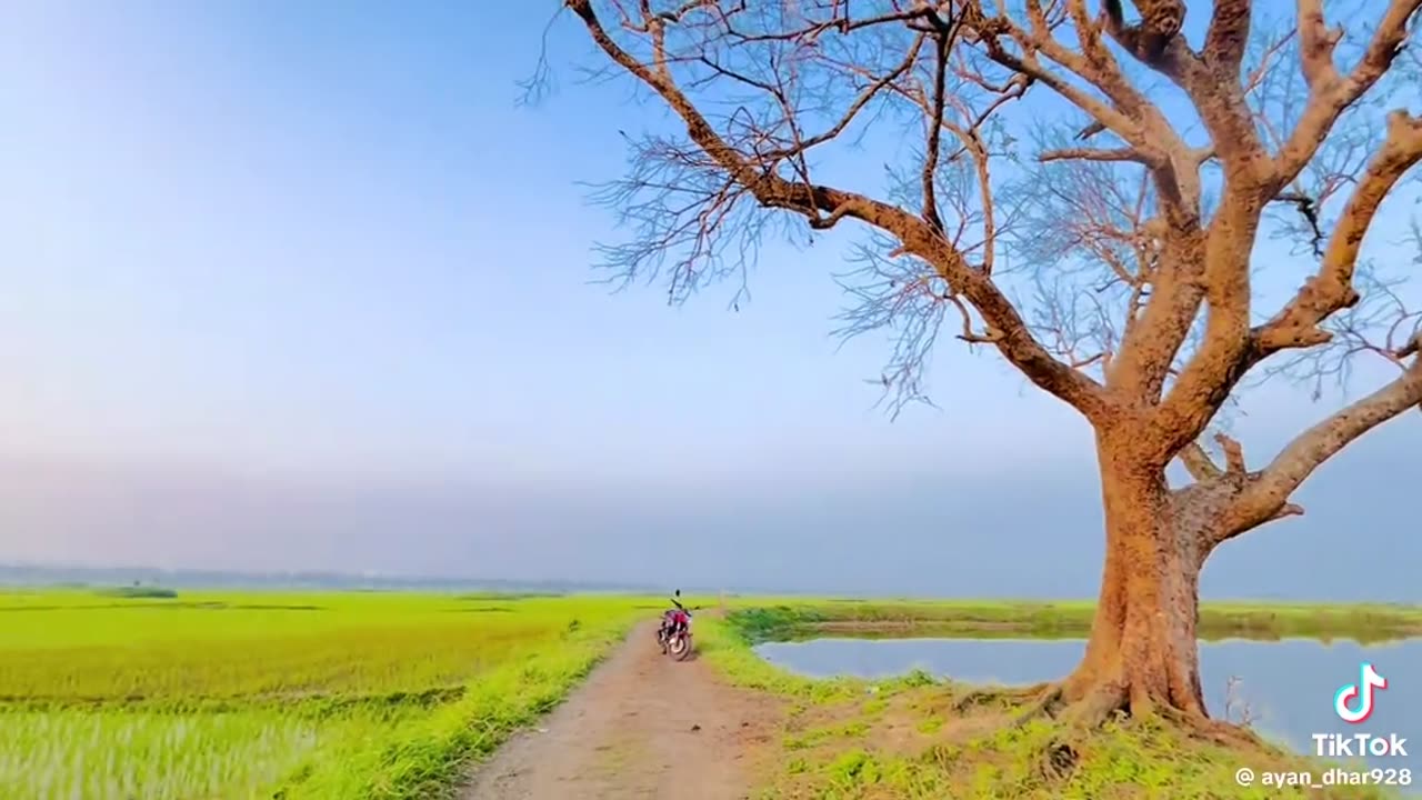 প্রকৃতি 🌻