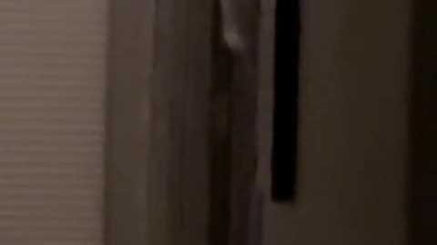 👻🤫 Don't Watch Alone! The Scariest Eddie Encounter | TheHauntingHour