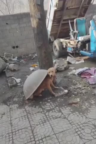 When you are unwilling to face the world 😂🙏