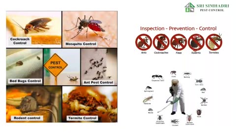 PEST CONTROL SERVICE FOR HOUSE