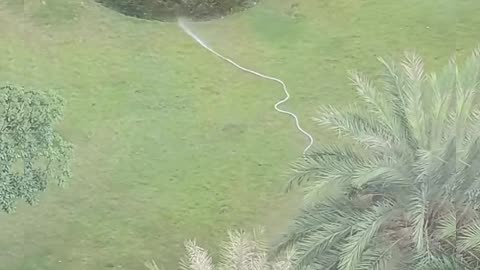 This water hose movement is very unique #shorts #viral