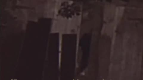 😱👻 What is That? Trying to Break In?! | TheHauntingHour