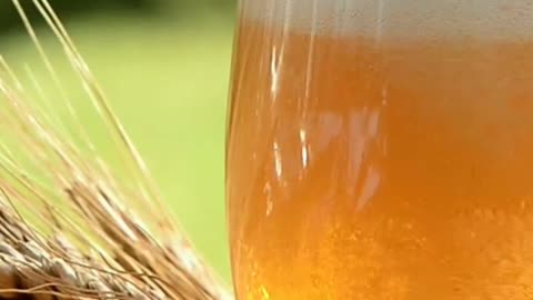 Why Gardeners Are Pouring Beer On Compost!