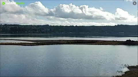 Relaxing view of the water.