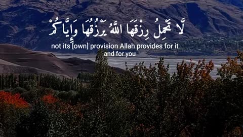 Jazakallah ♥️✨🕊️