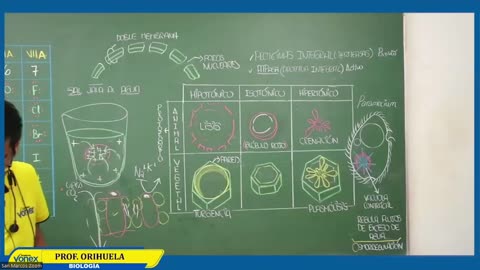 VONEX SEMIANUAL 2023 | Semana 05 | Biología S2