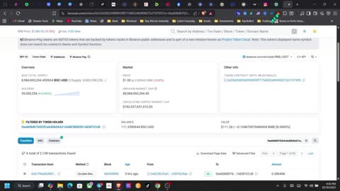 BitNest Latest Update: What You Need To Know💯