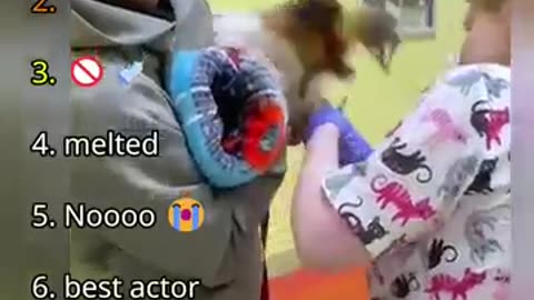 Cute Animal Vaccinations