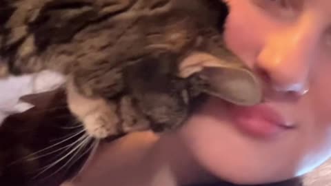 Does anyone else’s cat do this What does it mean