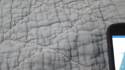 @666GAY1, you really are fucking slow in the head