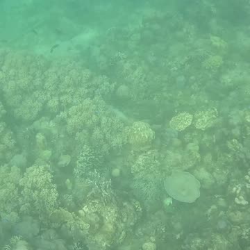 Snorkeling Morning!!