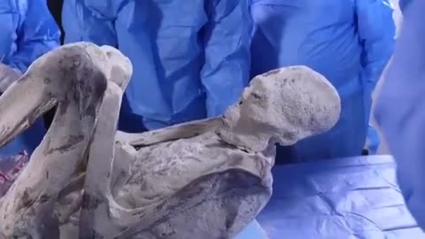 Nazca's Non-Human Mummy - Real or Fake?