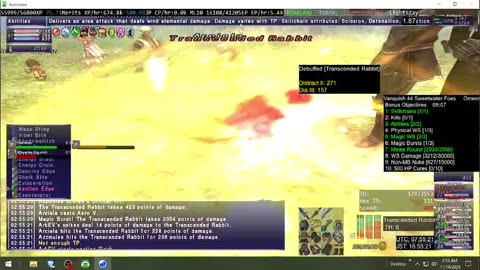 Playing Final Fantasy XI Online