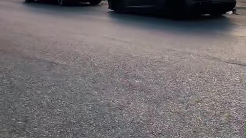 🤯💨 Choose Your Dream Car NOW! | LuxurySportsCars