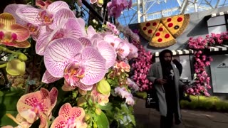 An Artist Transforms New York Botanical Garden into Floral Verson of the City