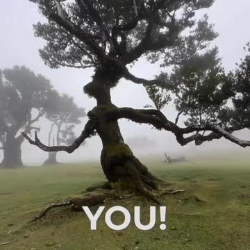 Incredible experience 😱😍