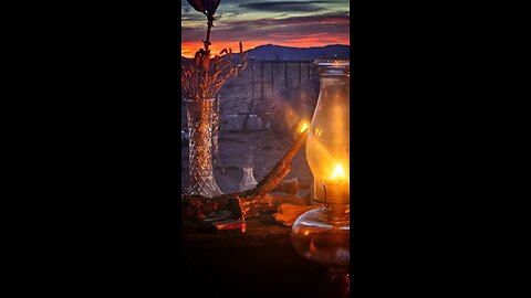 Navigating human toxicity