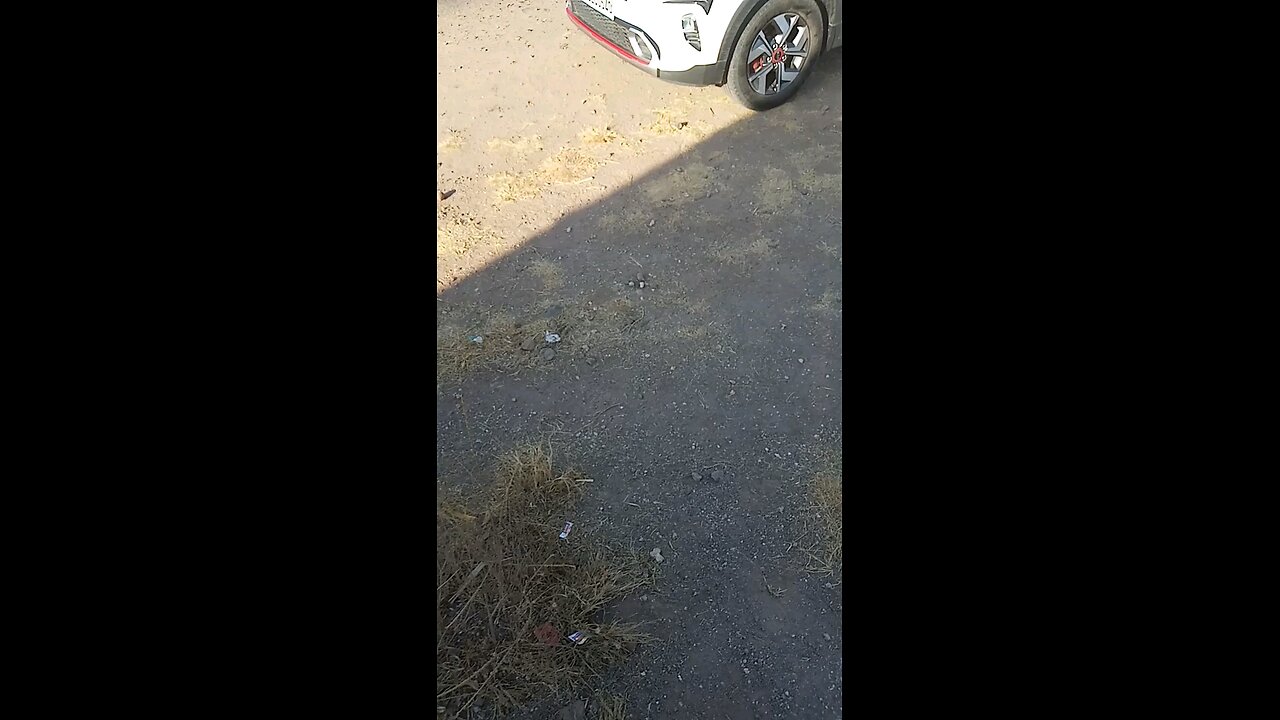 Air Bus landing