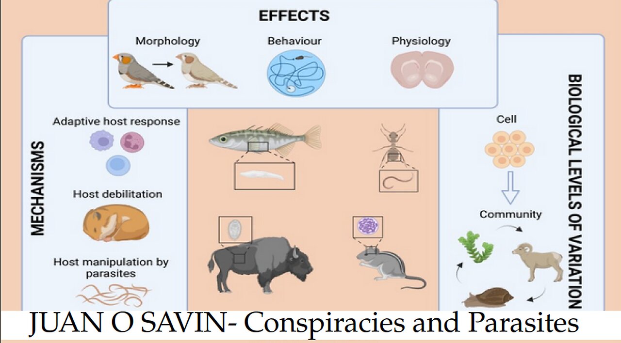 JUAN O SAVIN- Conspiracies and Parasites- SpaceShot76 9 28 2025