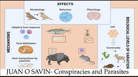 JUAN O SAVIN- Conspiracies and Parasites- SpaceShot76 9 28 2025