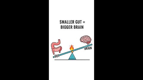 The Gut-Brain Tradeoff: How Cooking Fueled Our Brains | E57.2 | The Origin Pulse