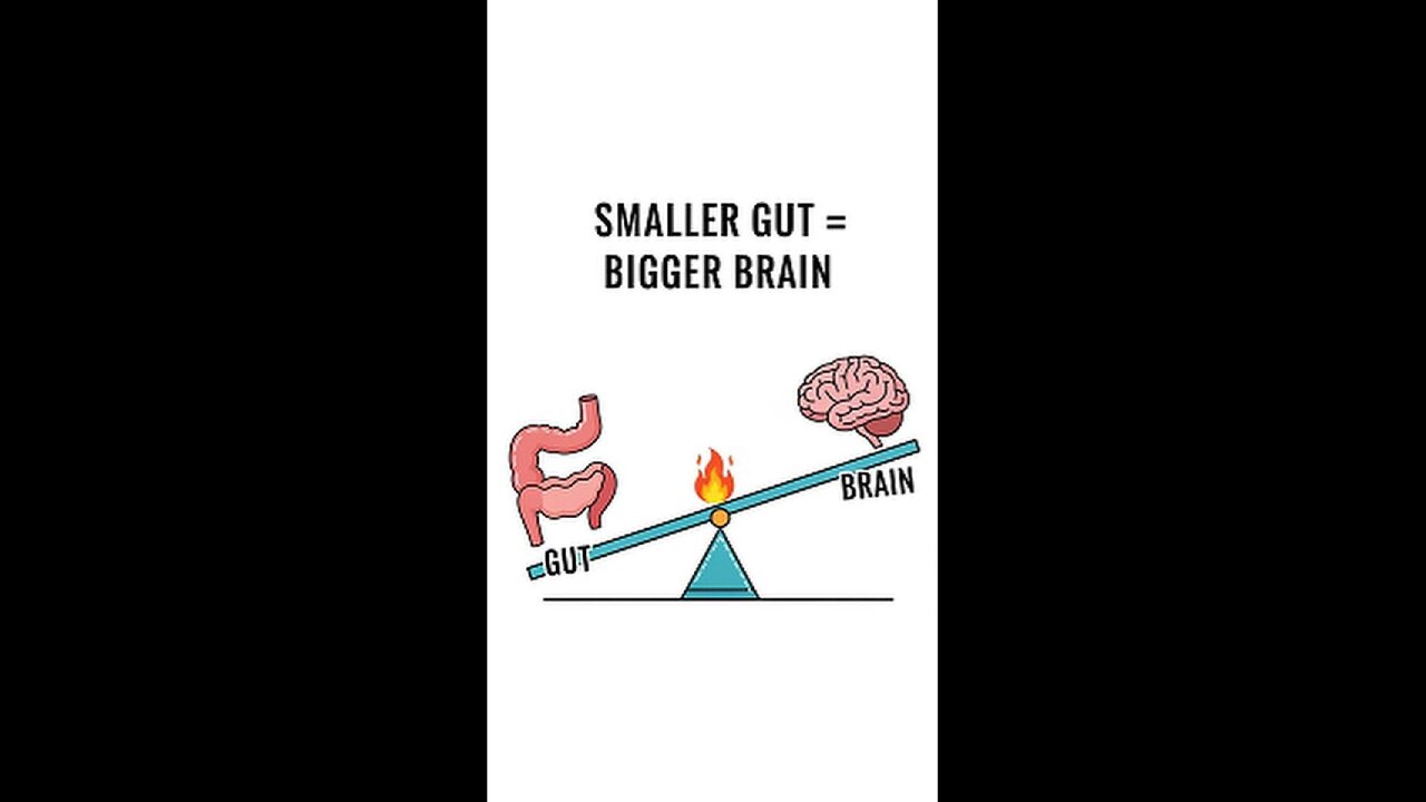 The Gut-Brain Tradeoff: How Cooking Fueled Our Brains | E57.2 | The Origin Pulse